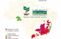 巴西产区介绍南米纳斯喜拉多产区咖啡生豆全是阿拉比卡种