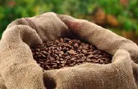 巴西咖啡2017年产量预估为4,477万包