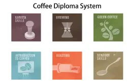 咖啡证书有哪几种？SCA咖啡文凭六大模块，CQI国际认证