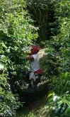 哥伦比亚 圣徒阿里欧庄园Santuario咖啡种植情况品种风味介绍