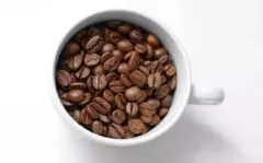 一项新研究显示咖啡或对缓解帕金森症状无效