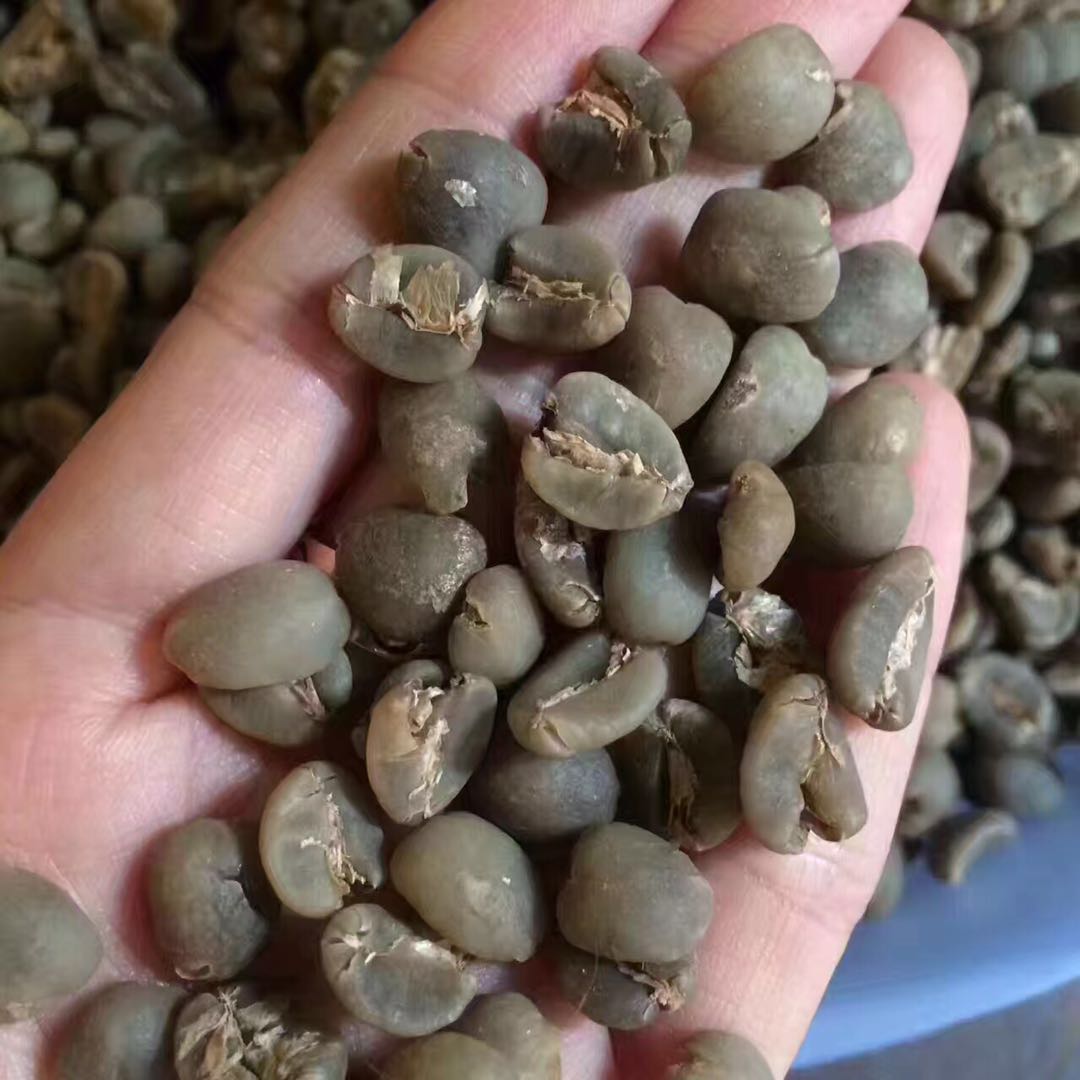什么是黄金曼特宁呢？印尼pwn黄金曼特宁咖啡豆Ateng品种特点口感冲泡风味介绍
