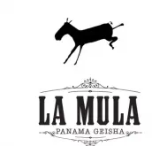 巴拿马骡子庄园介绍La Mula2014年最佳巴拿马BOP日晒骡子瑰夏