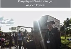 肯尼亚ＡB 大裂谷 库尔德农民合作社水洗咖啡风味口感香气描述