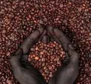 你确定你知道你冲的是什么咖啡吗？咖啡生豆的直接贸易