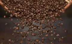如何从你的咖啡豆中获得最多（或最少）的咖啡因？