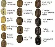 自学咖啡豆烘焙必备 咖啡烘焙色卡图片