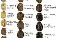 怎么确定咖啡豆的烘焙程度 自己烘焙咖啡豆应该烘焙到什么程度