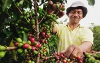 国内极少见，潜力超无穷的新兴咖啡产区－厄瓜多尔咖啡