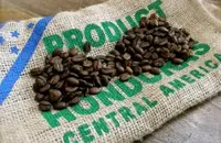 洪都拉斯COE杯长胜军-圣文森处理厂热带雨林认证咖啡风味特点介绍