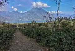 危地马拉奇瓜庄园信息资料介绍 阿蒂特兰湖产区的年轻咖啡庄园