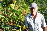 玻利维亚圣塔克鲁兹产区夫耶蝶庄园—来自世界屋脊的玻利维亚咖啡