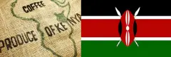 肯尼亚生豆批发肯尼亚AA批发价格肯尼亚等级划分精品咖啡生豆