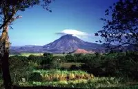 哥斯达黎加沙拉卡庄园信息介绍 萨拉卡（Salaca）庄园黑蜜咖啡风