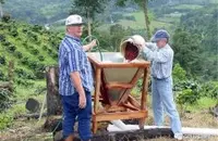 哥斯达黎加新兴微型处理厂蜜处理 哥斯达黎加咖啡季介绍