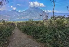 危地马拉圣湖庄园历史介绍 2014年阿蒂特兰湖产区最佳年度咖啡豆