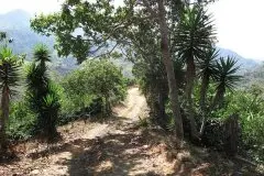 哥斯达黎加宝藏庄园Finca La Guaca产地信息介绍 微型生态庄园