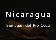 尼加拉瓜圣胡安SanJuan可可河del Rio Coco合作社象豆Maragogype