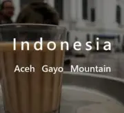 印尼亚齐咖啡咖优区Gayo Mountain阿比西尼亚种Tim Tim咖啡烘焙