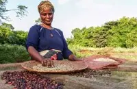 瓜地马拉小蓝莓庄园COE获奖情况 咖啡豆风味介绍