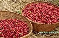 埃塞俄比亚最知名咖啡产区之西达摩Sidamo产区丁图村Dintu介绍