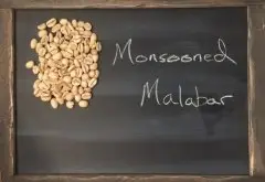 印度季风豆|风渍豆 Monsooned Malabar马拉巴尔咖啡豆处理过程特