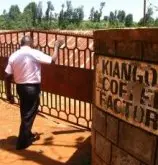 肯尼亚奇林雅加产区Kirinyaga奇安果处理场Kiangoi Factory介绍