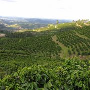 哥伦比亚最大的官方咖啡生产者FNC介绍 ANEI公平交易有机咖啡豆