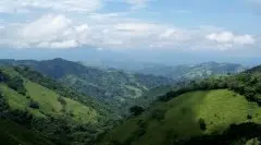 哥斯达黎加Costa Rica咖啡庄园介绍-塔拉珠Tarrazu三奇迹庄园