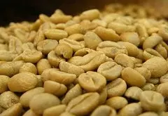 埃塞俄比亚红樱桃计划Mormora魔魔拉种植园水洗咖啡豆特征描述