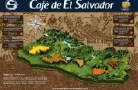 萨尔瓦多喜马拉雅咖啡怎么样 萨尔瓦多咖啡简史与咖啡小档案