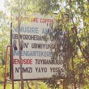世界十大咖啡之卢旺达 卢旺达咖啡冠军庄园慕咏薇水洗厂Muyongwe