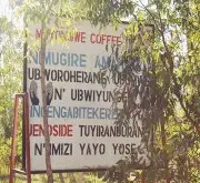世界十大咖啡之卢旺达 卢旺达咖啡冠军庄园慕咏薇水洗厂Muyongwe