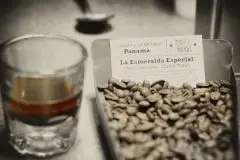 巴拿马咖啡品种-瑰夏咖啡	巴拿马瑰夏咖啡有什么风味