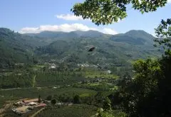 哥斯达黎加好的咖啡都出自塔拉珠产区 哥斯达黎加咖啡Tarrazu