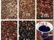 从微波炉开启烘烤咖啡豆之旅 如何用微波炉烘焙咖啡生豆？