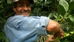 尼加拉瓜咖啡特性、用途，咖啡产地&产量，历年咖啡产品产销概况
