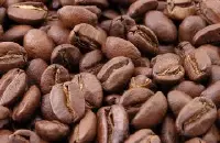 尼加拉瓜象豆咖啡Matagalpa起源故事介绍 尼加拉瓜咖啡豆特点