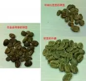 什么是曼特宁咖啡豆? 跟一般咖啡豆有什么不同 曼特宁的瑕疵率