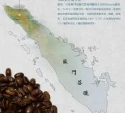 苏门答腊曼特宁咖啡独特风味产地介绍 曼特宁咖啡产地种植历史