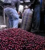 危地马拉卡杜拉咖啡 危地马拉安提瓜精选咖啡豆-超高海拔卡杜拉种