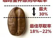 咖啡萃取公式与金杯萃取理论 | 探讨萃取率与咖啡粉粗细的关系