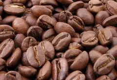 乌干达咖啡风味特点 乌干达 Bugishu AA 咖啡与肯尼亚咖啡的区别