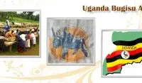 非洲明珠乌干达咖啡豆风味口感香气描述 乌干达咖啡怎么样