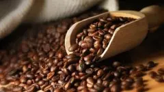 巴布亚新几内亚咖啡PAPUA New Guinea coffee拉马俐河谷精品咖啡