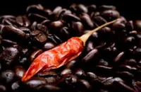 墨西哥有哪些咖啡？墨西哥咖啡产区：柯柯拉贝古、澳阿路卡各州