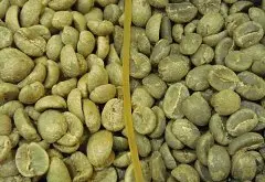 苏门答腊四款精品咖啡豆特点 陈年爪哇和陈年曼特宁风味对比