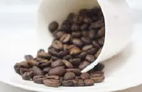 曼特宁咖啡豆价格 重口味咖啡的最佳选择-黄金曼特宁咖啡豆