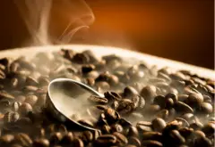 养豆与醒豆的原理 养豆/醒豆对咖啡风味有什么影响？
