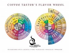 咖啡风味轮特点详细解读 手冲咖啡瑕疵风味辨别技巧产生原因